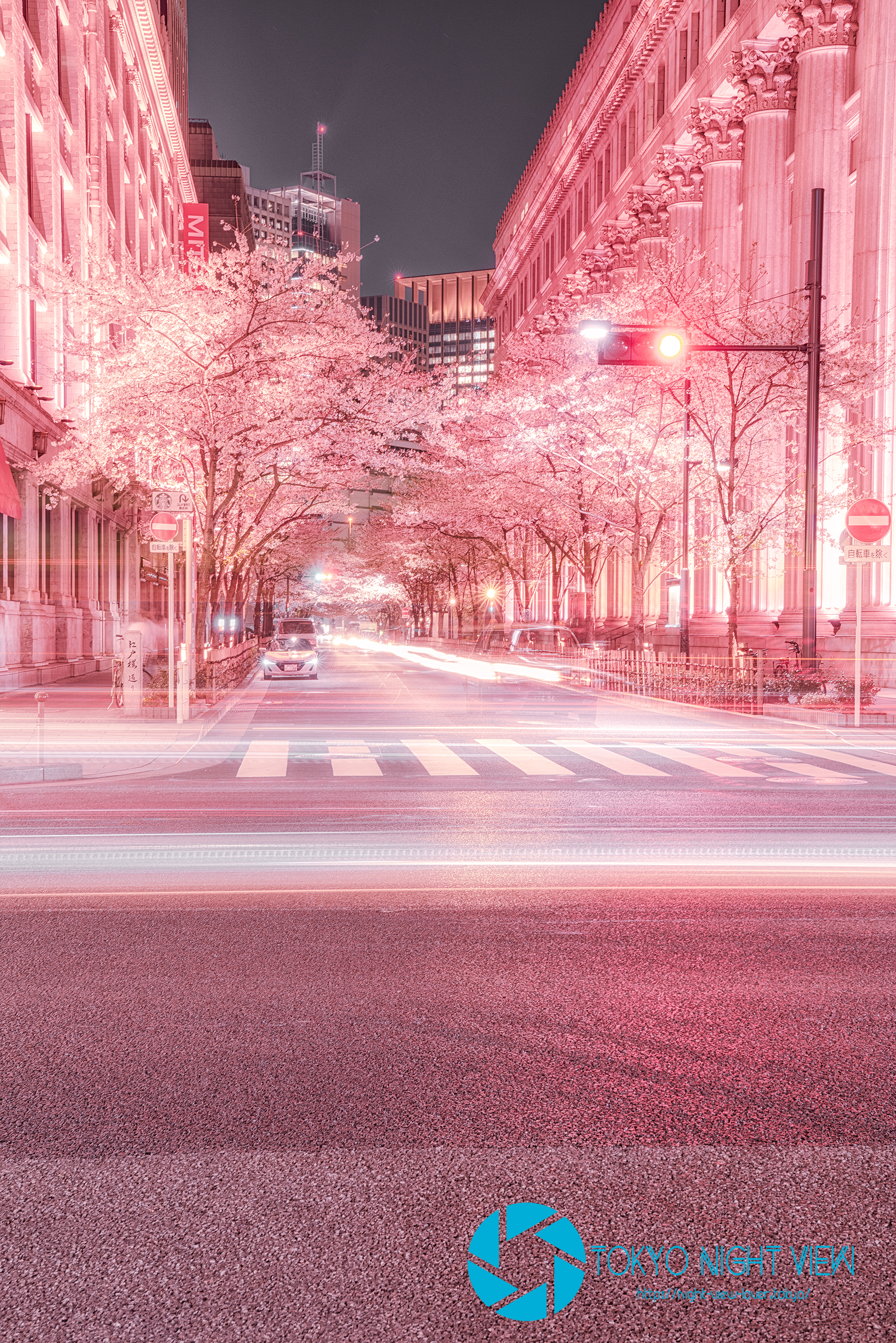 日本橋の街並みが桜色に染まる