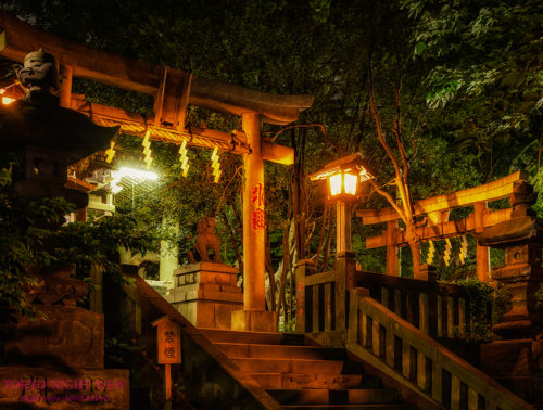 諏方神社（東京）の夜景