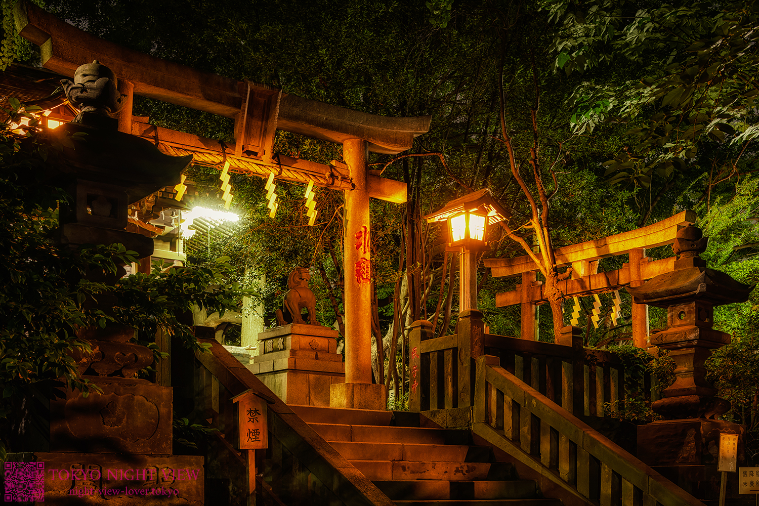 諏方神社（東京）の夜景