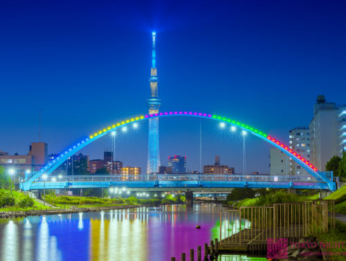 旧中川ふれあい橋の夜景