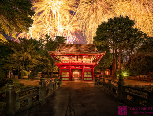 根津神社の夜景