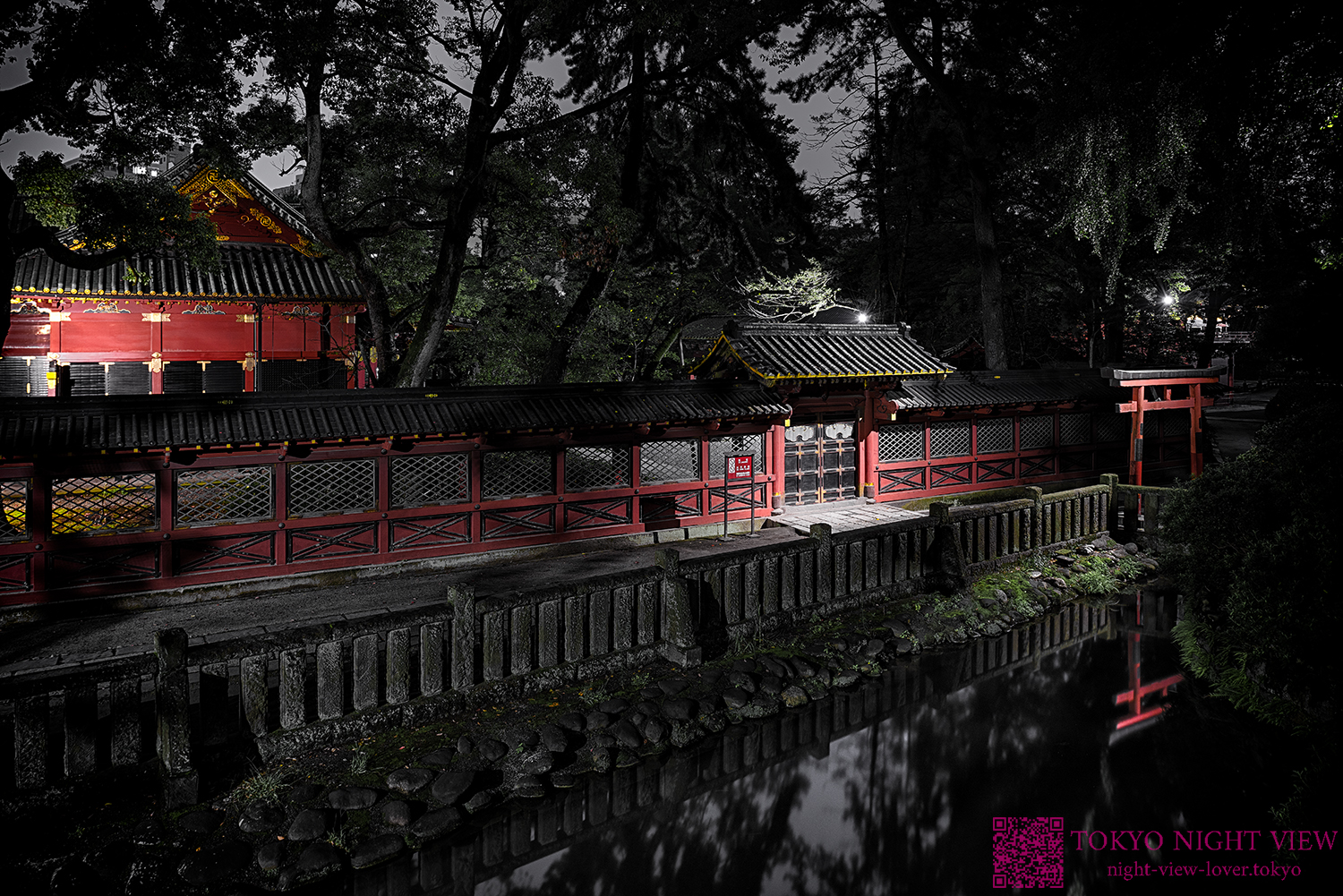 根津神社の夜景