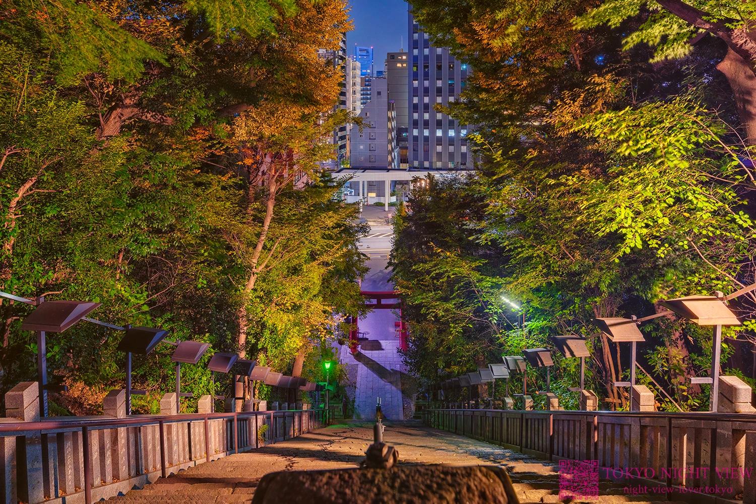 愛宕神社の夜景（東京港区）