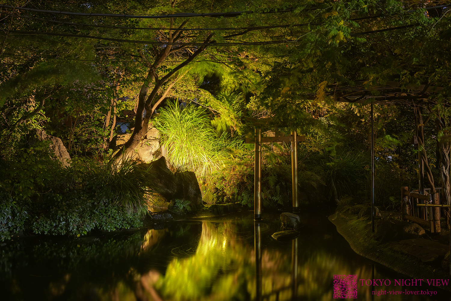 愛宕神社の夜景（東京港区）