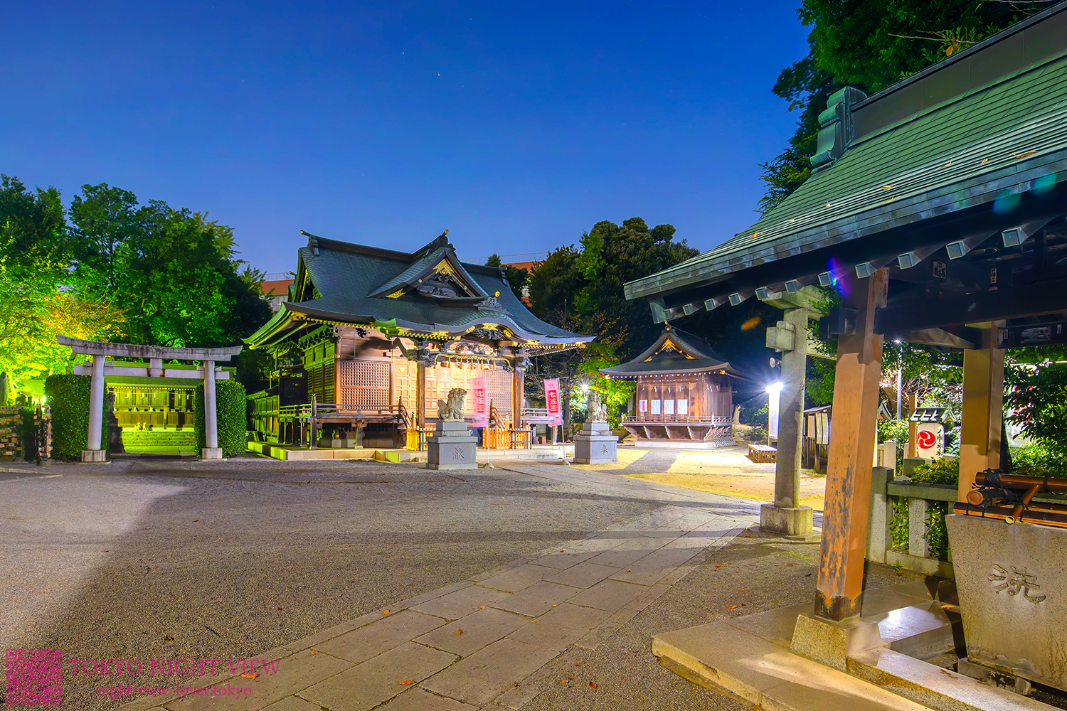 赤羽八幡神社の夜景
