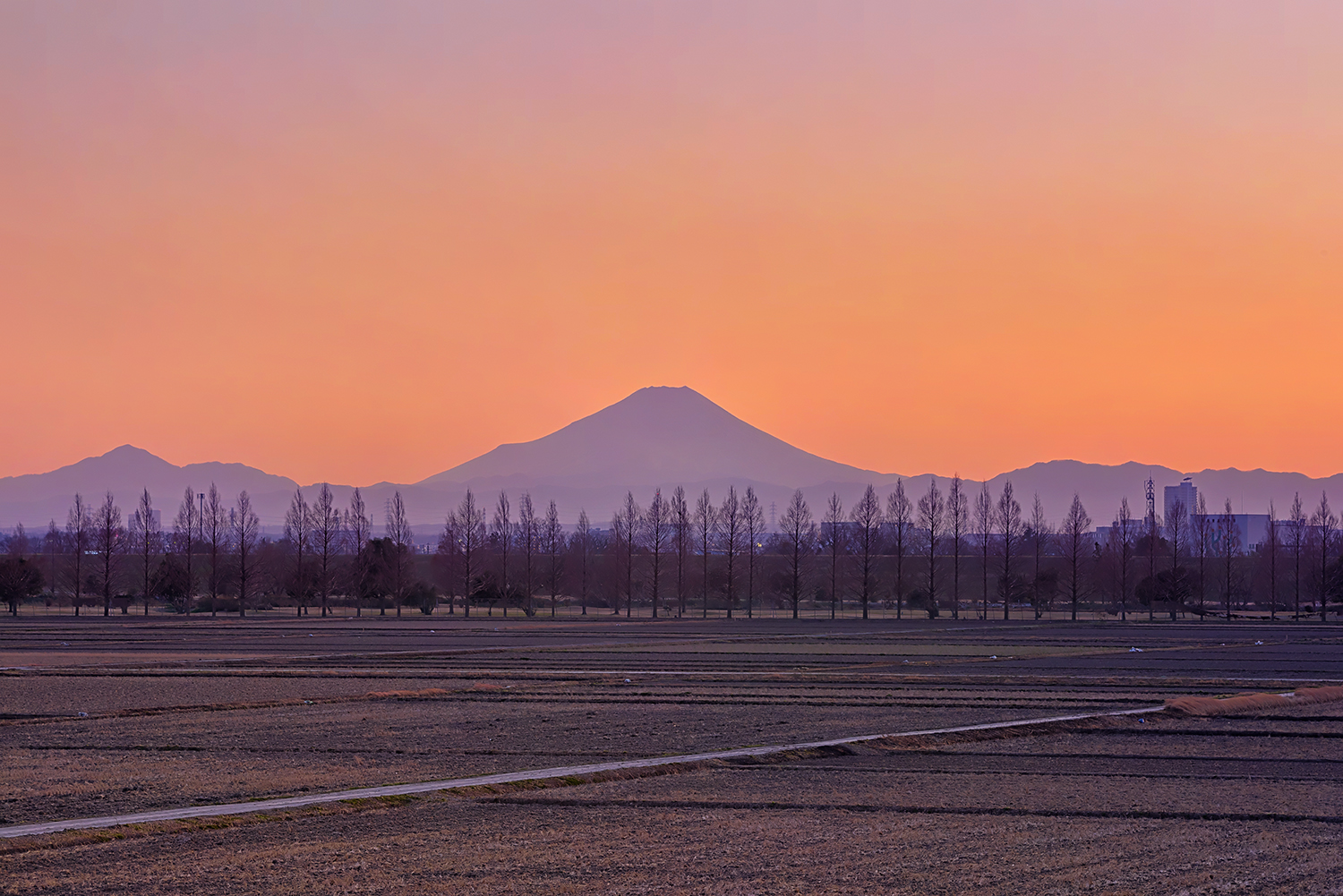 埼玉県西遊馬から眺める富士山夕景