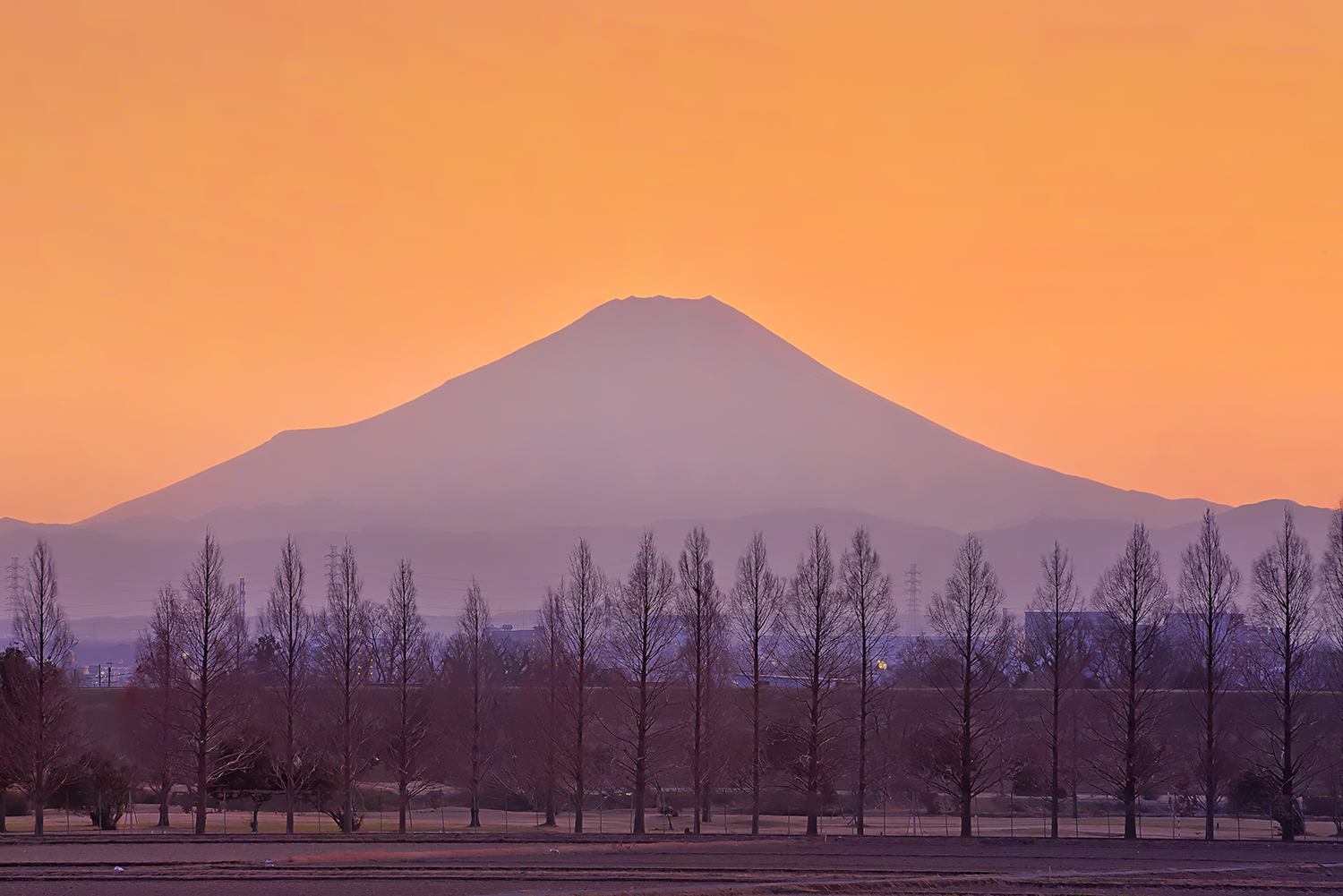 埼玉県西遊馬から眺める富士山夕景